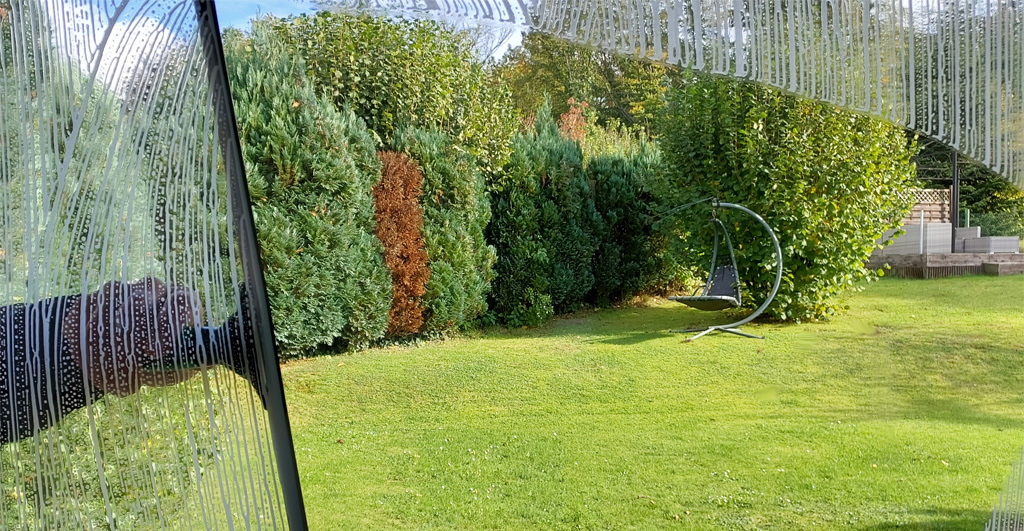 bild_3